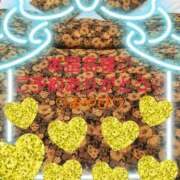 ヒメ日記 2025/05/06 23:59 投稿 山口みやび 松戸人妻花壇