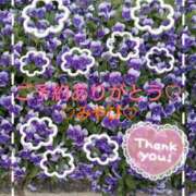 ヒメ日記 2025/06/01 23:56 投稿 山口みやび 松戸人妻花壇