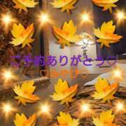 ヒメ日記 2025/09/08 01:57 投稿 山口みやび 松戸人妻花壇