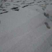 ヒメ日記 2026/01/02 21:10 投稿 山口みやび 松戸人妻花壇