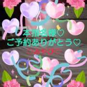 ヒメ日記 2026/02/20 04:16 投稿 山口みやび 松戸人妻花壇