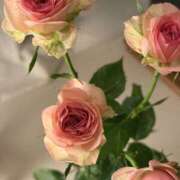 ヒメ日記 2024/12/28 19:38 投稿 つかさ 新妻物語