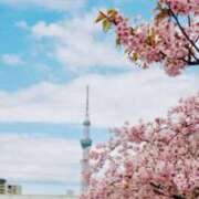 ヒメ日記 2026/03/02 21:48 投稿 つかさ 新妻物語