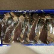 ヒメ日記 2025/06/01 20:34 投稿 一色りお 五十路マダム 愛されたい熟女たち 高松店