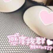 ヒメ日記 2026/01/19 19:43 投稿 なつ 豊満倶楽部