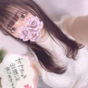 ヒメ日記 2025/04/23 12:30 投稿 はな プロフィール加古川