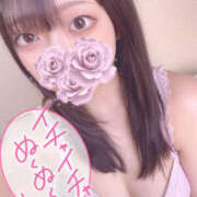 ヒメ日記 2025/07/20 21:00 投稿 はな プロフィール加古川