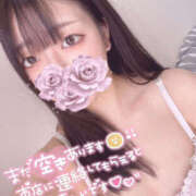 ヒメ日記 2026/02/23 09:50 投稿 はな プロフィール加古川