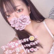 ヒメ日記 2025/04/24 09:40 投稿 はな プロフィール姫路