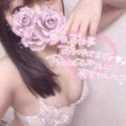 ヒメ日記 2025/05/16 01:56 投稿 はな プロフィール姫路