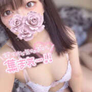 ヒメ日記 2025/07/26 18:30 投稿 はな プロフィール姫路