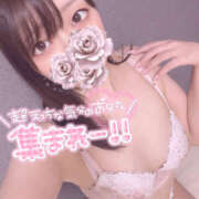 ヒメ日記 2025/08/06 00:30 投稿 はな プロフィール姫路