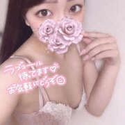 ヒメ日記 2025/08/08 02:30 投稿 はな プロフィール姫路