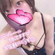 ヒメ日記 2024/12/16 22:00 投稿 ハナ ギャルズネットワーク 姫路