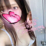 ヒメ日記 2024/12/17 11:30 投稿 ハナ ギャルズネットワーク 姫路