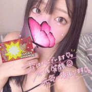 ヒメ日記 2025/01/10 11:30 投稿 ハナ ギャルズネットワーク 姫路