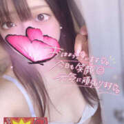 ヒメ日記 2025/02/15 13:30 投稿 ハナ ギャルズネットワーク 姫路