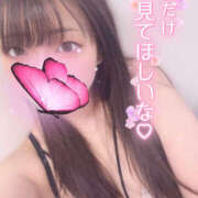 ヒメ日記 2025/04/17 21:20 投稿 ハナ ギャルズネットワーク 姫路