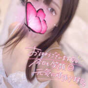 ヒメ日記 2025/05/24 16:30 投稿 ハナ ギャルズネットワーク 姫路