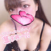 ヒメ日記 2025/06/26 02:00 投稿 ハナ ギャルズネットワーク 姫路