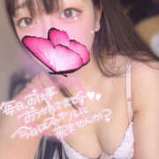 ヒメ日記 2025/07/23 09:30 投稿 ハナ ギャルズネットワーク 姫路