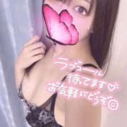 ヒメ日記 2025/11/24 13:30 投稿 ハナ ギャルズネットワーク 姫路