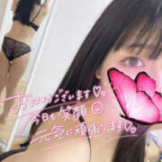 ヒメ日記 2026/02/23 09:41 投稿 ハナ ギャルズネットワーク 姫路