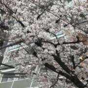 ヒメ日記 2026/03/30 19:30 投稿 みその 即トク奥さん