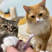 ヒメ日記 2025/02/23 23:21 投稿 あむ 静岡ハンパじゃない伝説