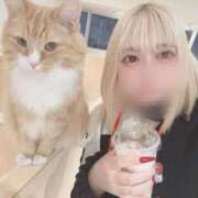 ヒメ日記 2025/02/25 12:22 投稿 あむ 静岡ハンパじゃない伝説