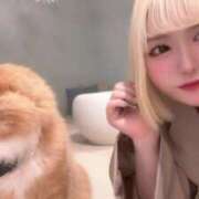 ヒメ日記 2025/04/30 17:07 投稿 あむ 静岡ハンパじゃない伝説