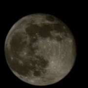 ヒメ日記 2025/11/07 08:42 投稿 小川今日子 五十路マダム 松山店（カサブランカグループ）