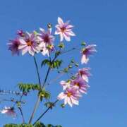 ヒメ日記 2025/12/01 09:38 投稿 小川今日子 五十路マダム 松山店（カサブランカグループ）