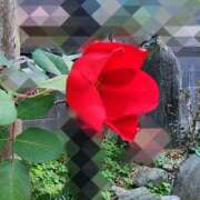 ヒメ日記 2025/12/08 20:32 投稿 小川今日子 五十路マダム 松山店（カサブランカグループ）