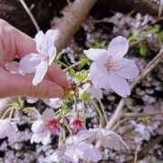 ヒメ日記 2026/04/08 10:01 投稿 しおり 婀娜（あだ）めく人妻LILITH(リリス) 本庄