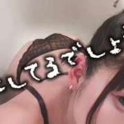 ヒメ日記 2024/12/09 13:52 投稿 りつ ホワイトベル