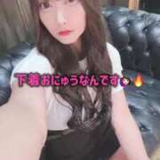 ヒメ日記 2024/12/24 15:08 投稿 りつ ホワイトベル