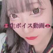 ヒメ日記 2025/01/16 13:11 投稿 りつ ホワイトベル