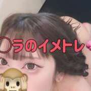 ヒメ日記 2025/02/08 12:22 投稿 りつ ホワイトベル