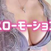 ヒメ日記 2025/02/21 21:22 投稿 りつ ホワイトベル