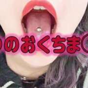 ヒメ日記 2025/03/20 12:42 投稿 りつ ホワイトベル