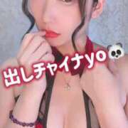 ヒメ日記 2025/03/25 12:54 投稿 りつ ホワイトベル