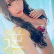 ヒメ日記 2025/09/19 22:32 投稿 りつ ホワイトベル