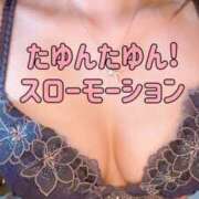 ヒメ日記 2025/09/22 13:39 投稿 りつ ホワイトベル