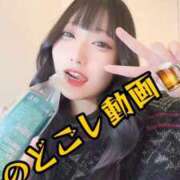 ヒメ日記 2025/11/07 22:22 投稿 りつ ホワイトベル