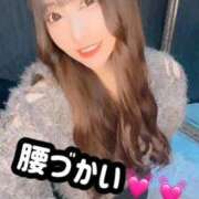 ヒメ日記 2026/04/08 17:22 投稿 りつ ホワイトベル