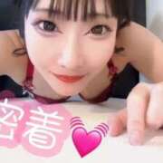 ヒメ日記 2026/04/22 19:02 投稿 りつ ホワイトベル