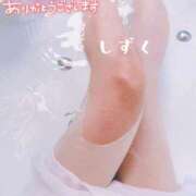 ヒメ日記 2025/04/13 15:14 投稿 しずく 佐久上田人妻隊