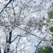 ヒメ日記 2025/04/05 09:27 投稿 ひろみ 東京人妻セレブリティ（ユメオト）