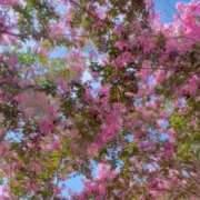 ヒメ日記 2025/08/09 13:40 投稿 ひろみ 東京人妻セレブリティ（ユメオト）